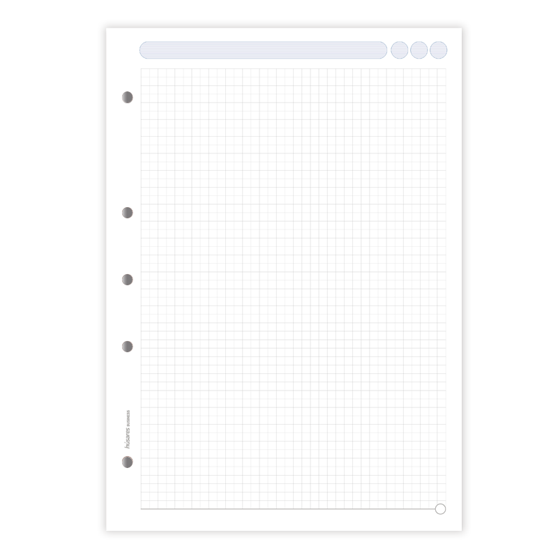 husares_repuesto_business_6069-hoja-CUADRICULADO