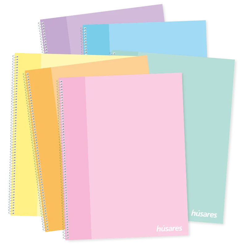 husares_universitario_PASTEL-colors-gde