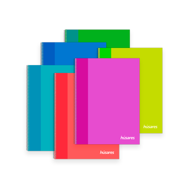 trendy colors CHICO COMPLETO-elementor-io-optimized